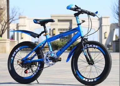 擺脫低端競(jìng)爭(zhēng) 國(guó)產(chǎn)青少年自行車發(fā)力高端