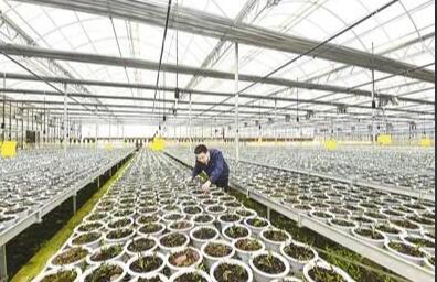 國(guó)家中醫(yī)藥管理局：中醫(yī)藥發(fā)展全方位步入法治化軌道