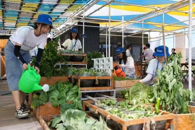 20220809133845825.jpg 20220809133845825.jpg