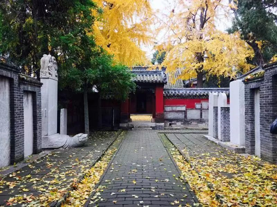 20220811183522340.png image.png