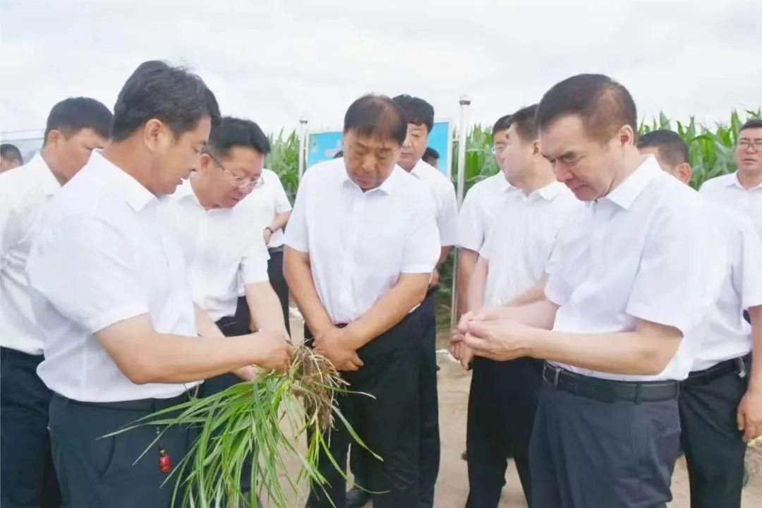 20220818095204655.png 20220818095204655.png