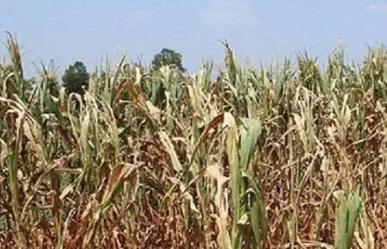 今年以來我國洪旱災害呈現(xiàn)四方面特點