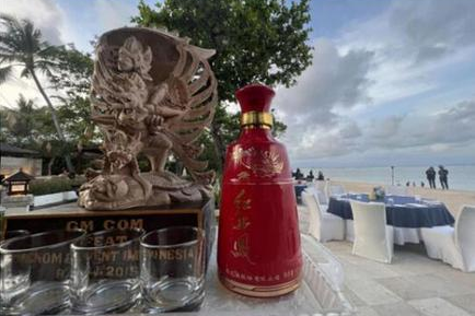 紅西鳳亮相國際展望大會(huì) 助力中國品牌揚(yáng)帆出海