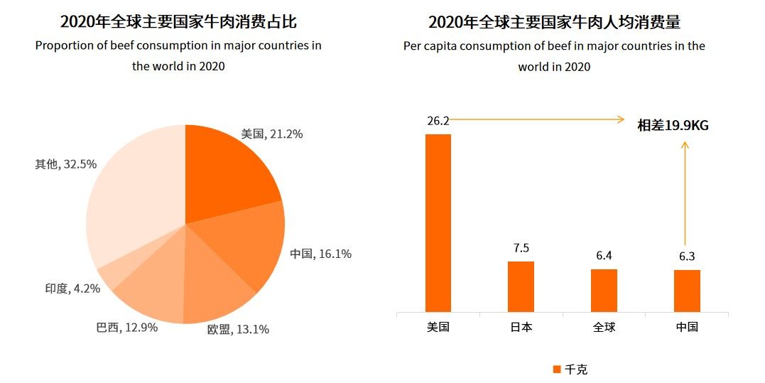 技術(shù)賦能預(yù)制菜高質(zhì)量發(fā)展，牛肉類預(yù)制菜正悄然崛起