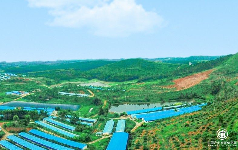 背后的力量 | 華云數(shù)據(jù)助力壹號食品加快數(shù)字化轉(zhuǎn)型 為畜牧業(yè)發(fā)展注入新動(dòng)能