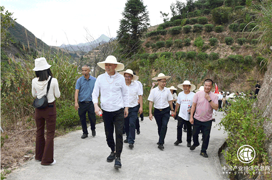 振興茶產(chǎn)業(yè) 媒體來助力 | 廈門市安溪商會組織媒體記者走進(jìn)安溪茶鄉(xiāng)