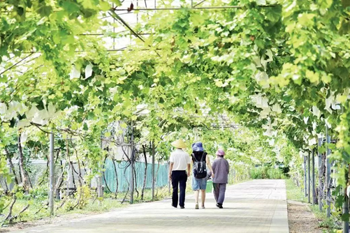 20221021101504246.png image.png