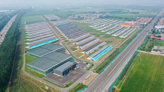 20221021101726600.png image.png