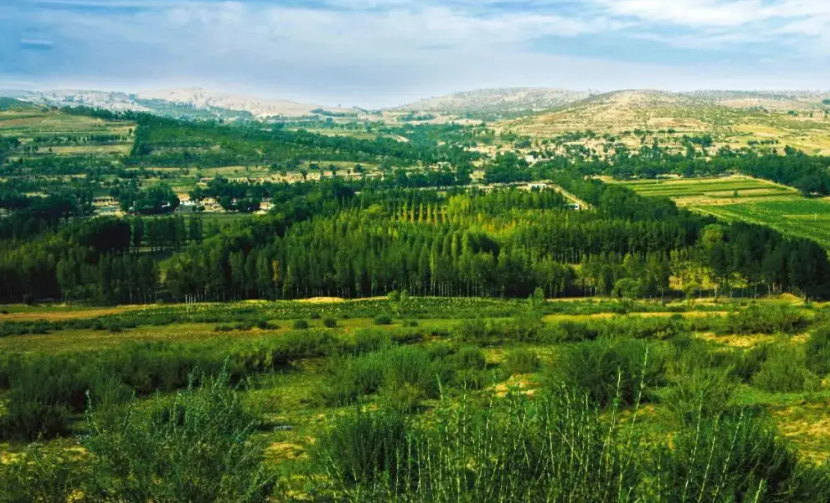 三北工程啟動20個科學(xué)綠化試點縣建設(shè)