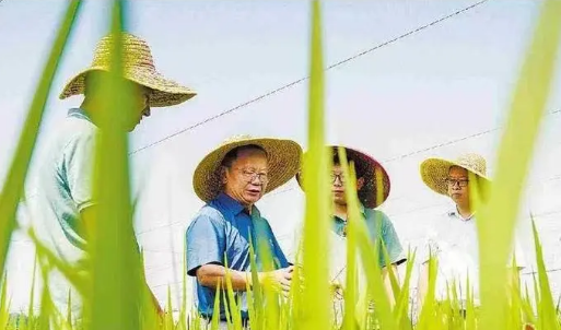 廣東著力打造懂農(nóng)業(yè)、愛(ài)農(nóng)村、愛(ài)農(nóng)民的“三農(nóng)”工作隊(duì)伍