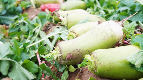 20221122164034597.png 微信圖片_20221122163938.png