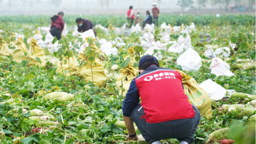 20221122164051939.png 微信圖片_20221122163944.png