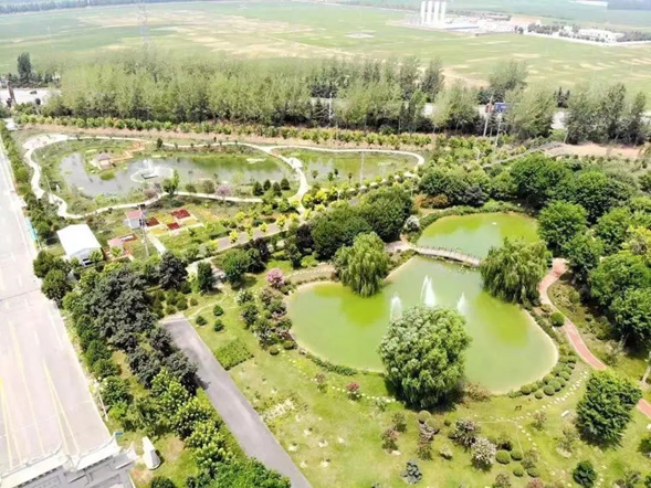 20221213125029906.png image.png