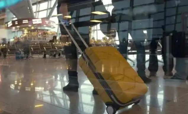 中國(guó)公民有序恢復(fù)出境旅游！全球多國(guó)發(fā)聲