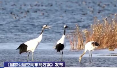 到2035年——基本建成世界最大國家公園體系