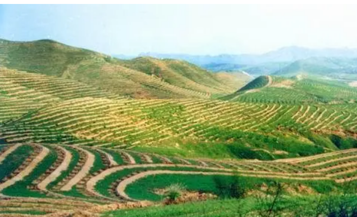 黨的十八大以來，全國共治理水土流失面積59.74萬平方公里