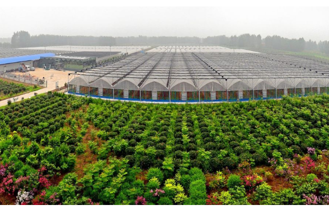 內蒙古烏海市現(xiàn)代農業(yè)產(chǎn)業(yè)園助推美麗鄉(xiāng)村建設