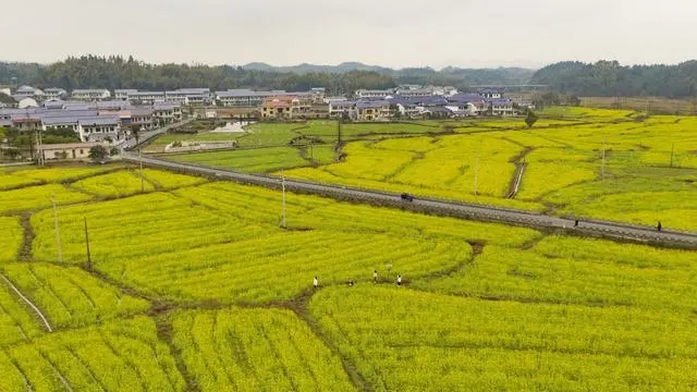 發(fā)出重農(nóng)強(qiáng)農(nóng)強(qiáng)烈信號(hào)！三個(gè)關(guān)鍵詞解讀2023年中央一號(hào)文件