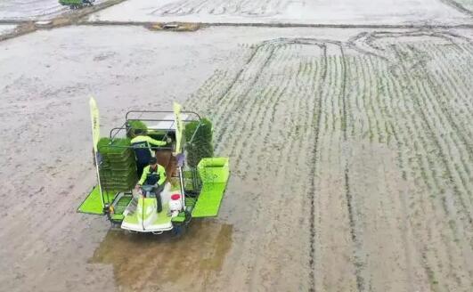 中農(nóng)集團：農(nóng)資保供 “一對一”服務(wù) 化肥減量增效