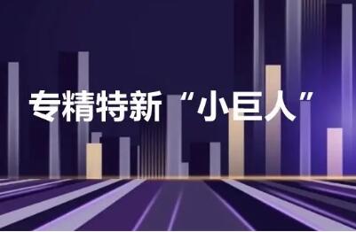 第五批專精特新“小巨人”企業(yè)培育啟動