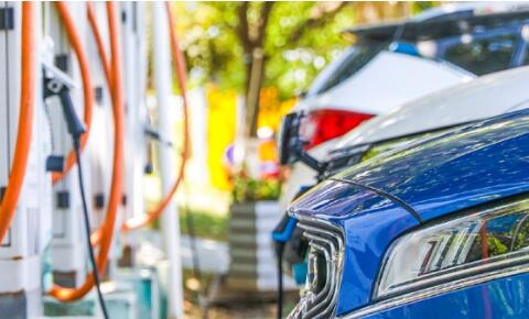 新能源汽車“出?！眲蓊^旺 鞏固提升中國品牌全球影響力