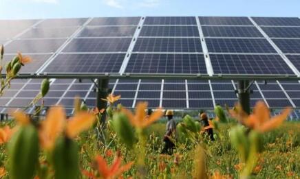 多部門聯(lián)合組織開展農(nóng)村能源革命試點縣建設(shè)