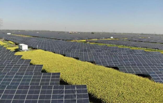 中國(guó)節(jié)能主要經(jīng)營(yíng)指標(biāo)同比增長(zhǎng) 實(shí)現(xiàn)首季“開(kāi)門紅”