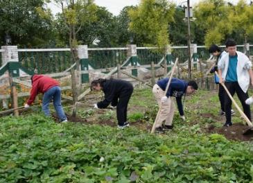 北京多所高校推進(jìn)勞動(dòng)教育課程建設(shè)