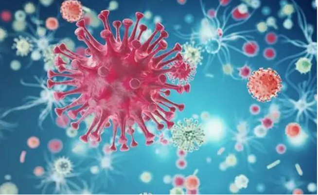 新冠疫情不再“國際關(guān)注”，后續(xù)如何防控