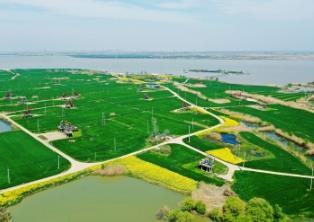 中國石油學會成立碳中和專業(yè)委員會