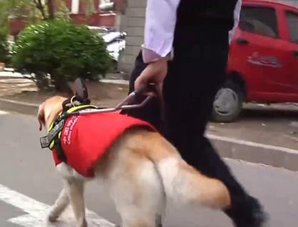 各方努力消除數(shù)字鴻溝 助力殘疾人實(shí)現(xiàn)信息無(wú)障礙