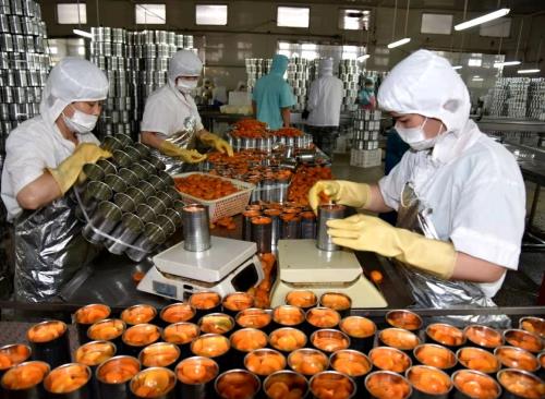 中國蔬菜罐頭火了！被歐洲瘋搶，有省份出口額增長一倍