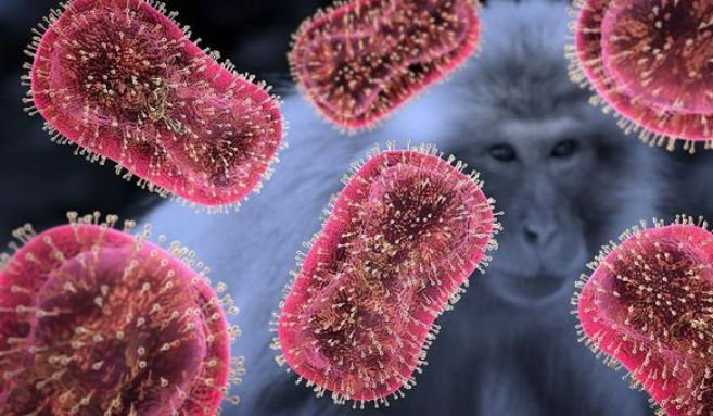 如何科學應對猴痘病毒？專家回應熱點關切