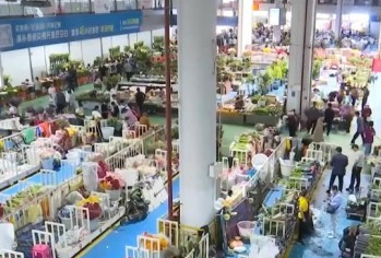 線上消費呈現(xiàn)新亮點 “小而美”領(lǐng)域細分需求凸顯