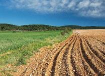 農業(yè)農村部負責人就《關于穩(wěn)妥開展解決承包地細碎化試點工作的指導意見》答記者問