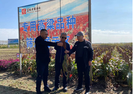 富裕老窖：“農頭”和 “工尾”相得益彰