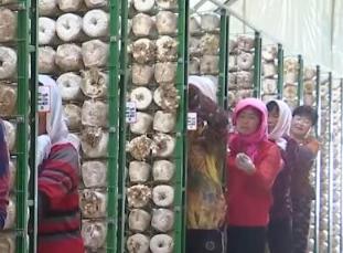 上半年全國約65%監(jiān)測對象消除返貧致貧風(fēng)險(xiǎn)