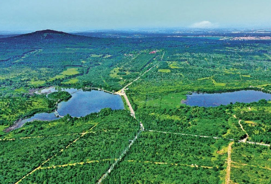 “三北”工程總體規(guī)劃修編工作基本完成