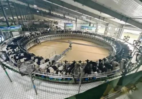 奶業(yè)產業(yè)鏈的“科技范”