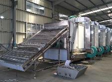 我國果蔬干燥減損關鍵技術取得顯著進展