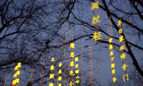 處處可見、時時可見，古城西安掀起“詩詞熱”