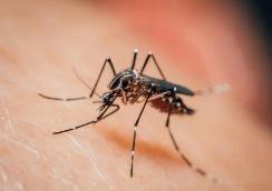 嚴(yán)重或危及生命！亞洲多國(guó)流行 海關(guān)緊急提醒