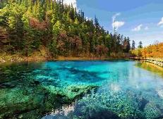 中國旅行服務進出口快速增長 助力世界經(jīng)濟復蘇