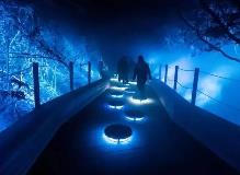 看景變“入景”，“出圈”又出彩 沉浸式旅游是怎樣的體驗(yàn)？