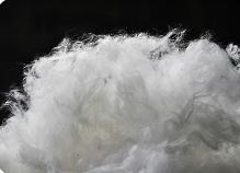 成本支撐短纖行情再上揚