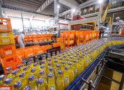 消費“記憶”非長久之計 產(chǎn)品要創(chuàng)新才是關(guān)鍵  國產(chǎn)汽水如何開拓市場立足長遠