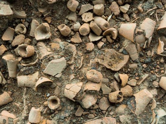 湖北天門(mén)石家河遺址考古工作有序進(jìn)行