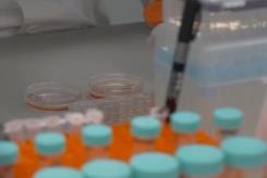 中國首個人源干細(xì)胞國家標(biāo)準(zhǔn)發(fā)布