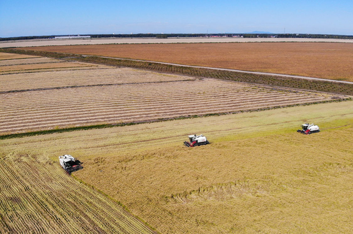“豐”景如畫(huà) 滿載希望——全國(guó)糧食主產(chǎn)區(qū)保秋收見(jiàn)聞