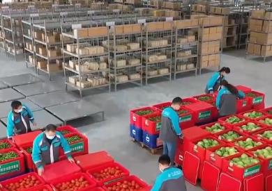 數(shù)實融合助力傳統(tǒng)產(chǎn)業(yè)轉(zhuǎn)型升級 農(nóng)村網(wǎng)絡(luò)零售額增長12.2%